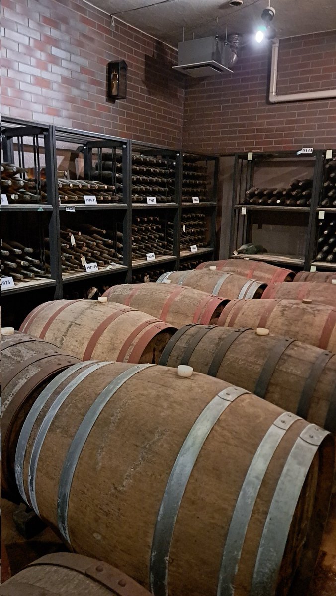 こけ💛🐺 11/23尽未来祭🐺 tweet media