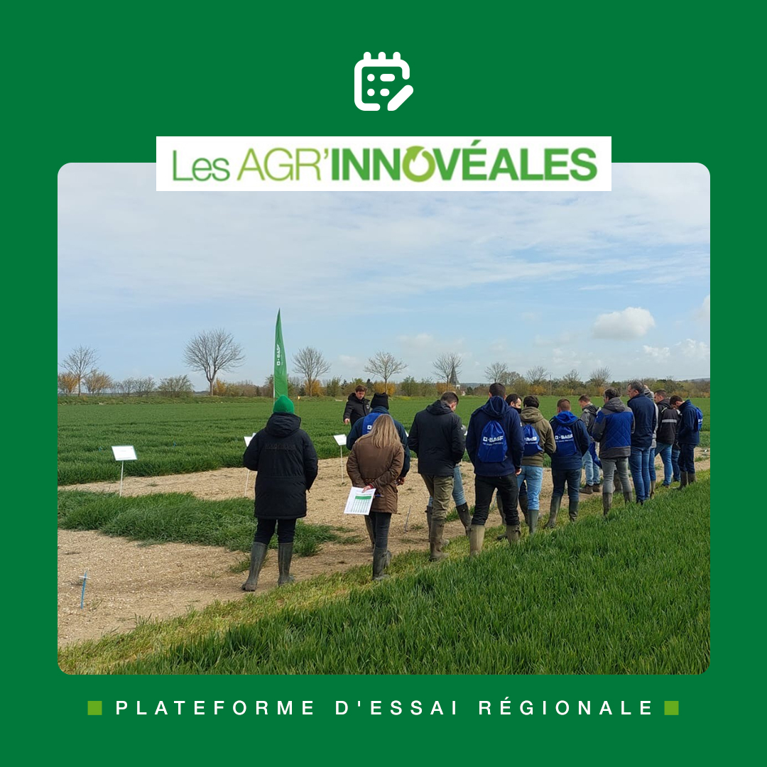 BASF_Agro_FR's tweet photo. [LIVE] 

Clap de fin pour les trois journées dédiées à notre plateforme d’essais régionale Agr’Innovéales, consacrée à la course contre les graminées adventices !

Du 31 mars au 2 avril, 5 ateliers ont rythmé ces journées.
Au programme :
- Gestion des graminées adventices dans la culture du colza et à l’échelle de la rotation
- Stratégies de désherbage céréales incluant une innovation prometteuse

Plus de 450 partenaires sont venus découvrir les résultats de nos essais directement sur le terrain et échanger avec nos équipes.

Ces rencontres sont toujours de précieux moments pour partager nos expertises, écouter les besoins et problématiques de chacun et continuer à faire avancer ensemble une agriculture toujours plus innovante. 🌱

Merci à toutes les personnes présentes pour leur participation et la richesse des échanges.

À très bientôt ! 👏

#BASF #WeAreBASF #Agroecologie #Innovation #Agrinnoveales #VisiteEssais