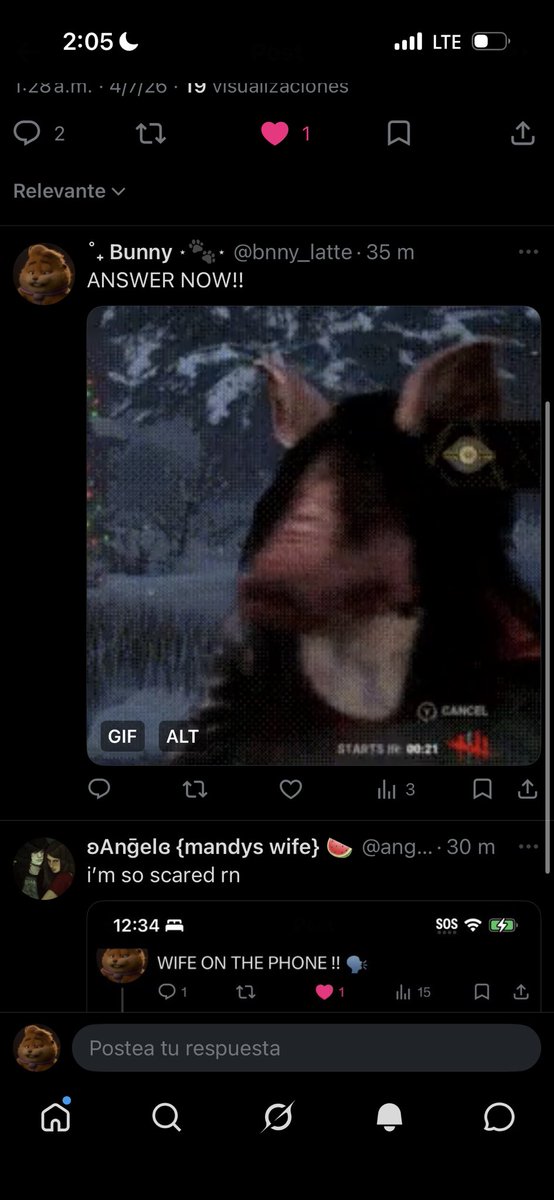 ˚₊ Bunny ⋆🐾⋆ tweet media