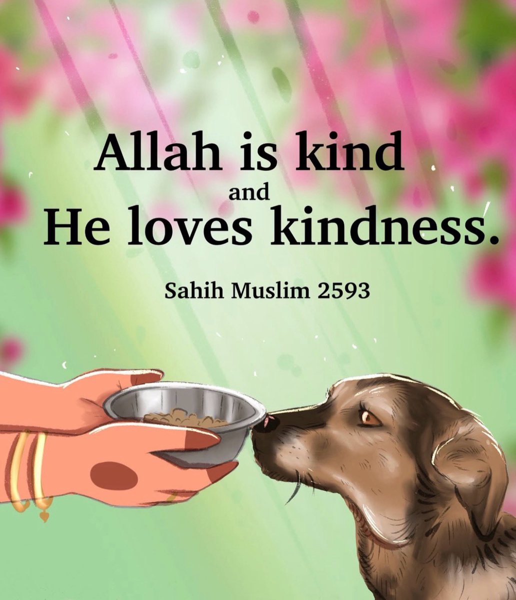 anilaumair_'s tweet photo. Kindness to animals is kindness beloved to Allah 🤍A small act of mercy can change a life forever 🐾Be gentle, be compassionate every soul matters.
#KindnessInIslam #Sadaqah #BeKind #MercyToAnimals #AnimalWelfare #SaveAnimals https://t.co/SYAou4xYKr
