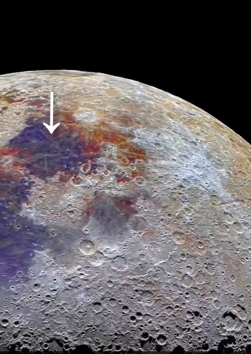 ネオヨジョン2 tweet media