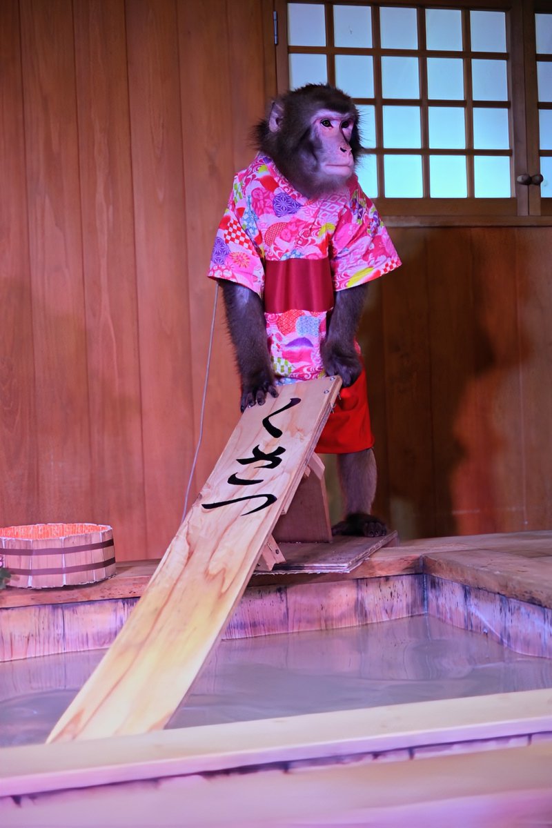 あしあとくん🍙🤘💙 tweet media