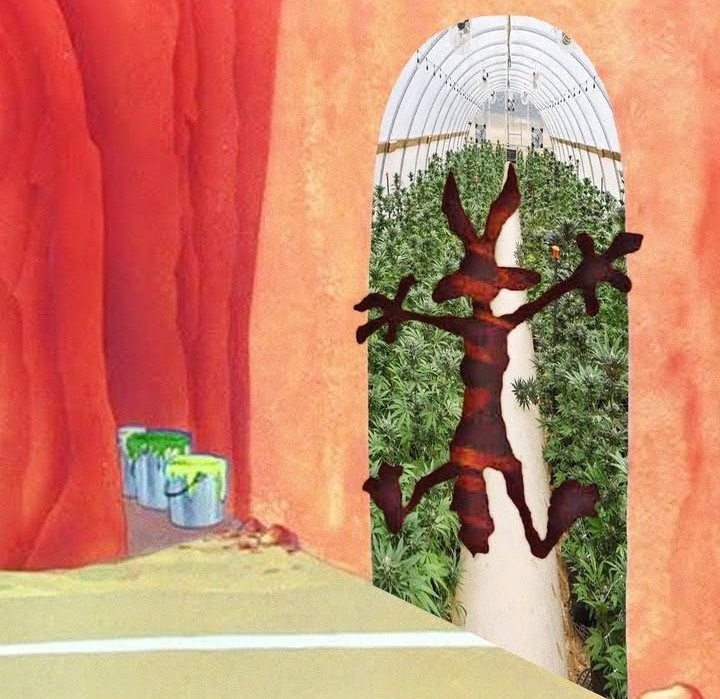 Artek Swaróg🌿💨🇵🇱 tweet media