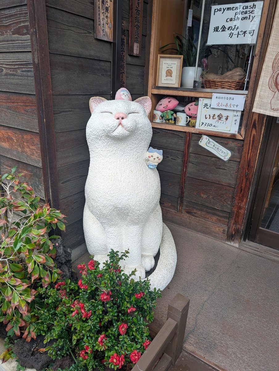 艾洛克 Irroc🐰社畜系管家Vtuber tweet media