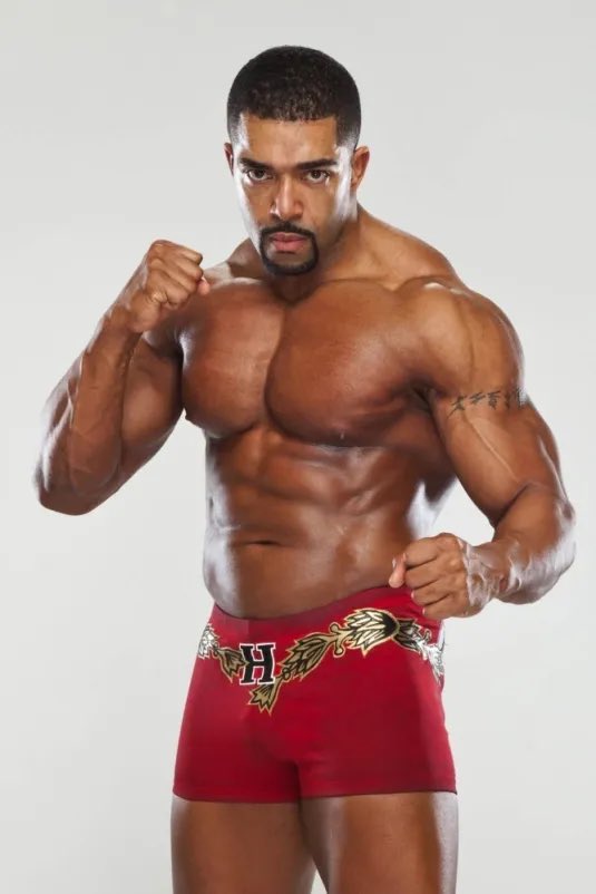 Yoamarahonei's tweet photo. HAPPY 46th BIRTHDAY DAVID OTUNGA 🤎#April7th✨#Actor✨#WWE✨#Wrestler✨#DavidOtunga✨#explorepage✨ https://t.co/mkP1ceRUXY
