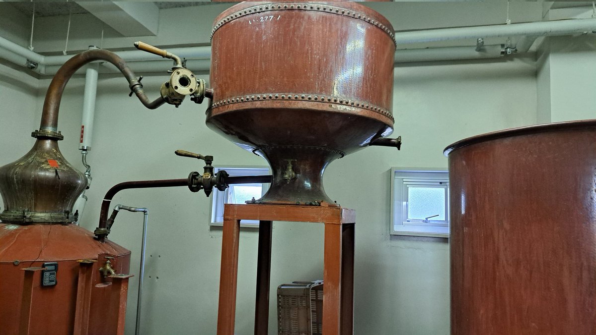 こけ💛🐺 11/23尽未来祭🐺 tweet media