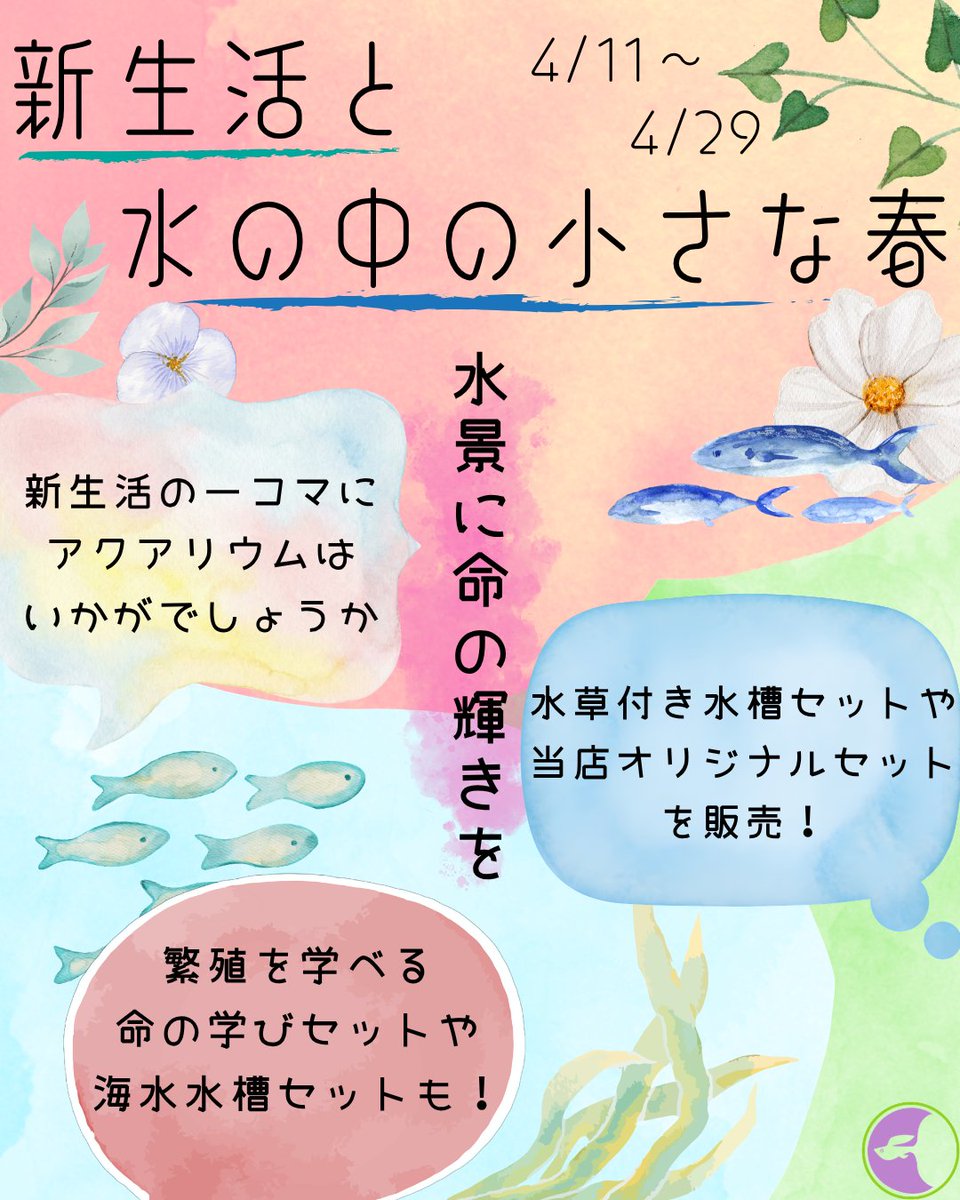 イベント情報！】 新生活にアクアリウムはいかがでしょうか？水草付き 