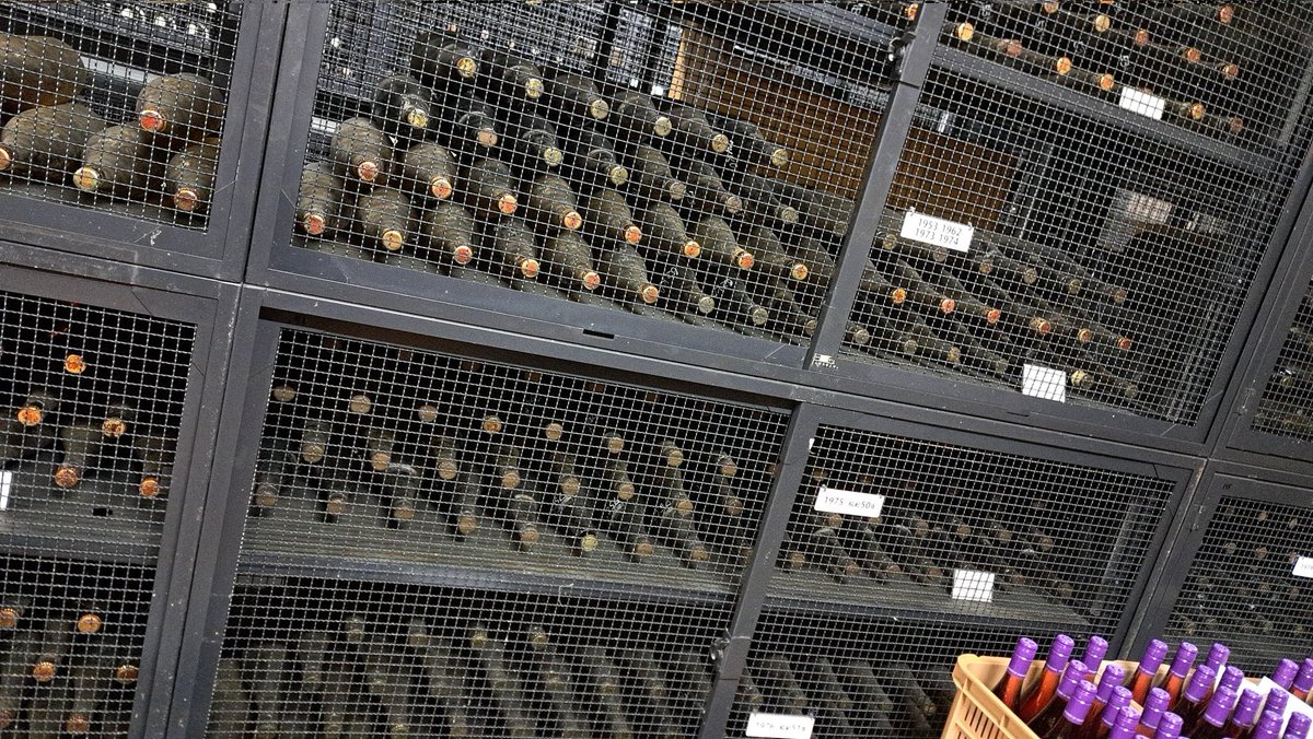 こけ💛🐺 11/23尽未来祭🐺 tweet media