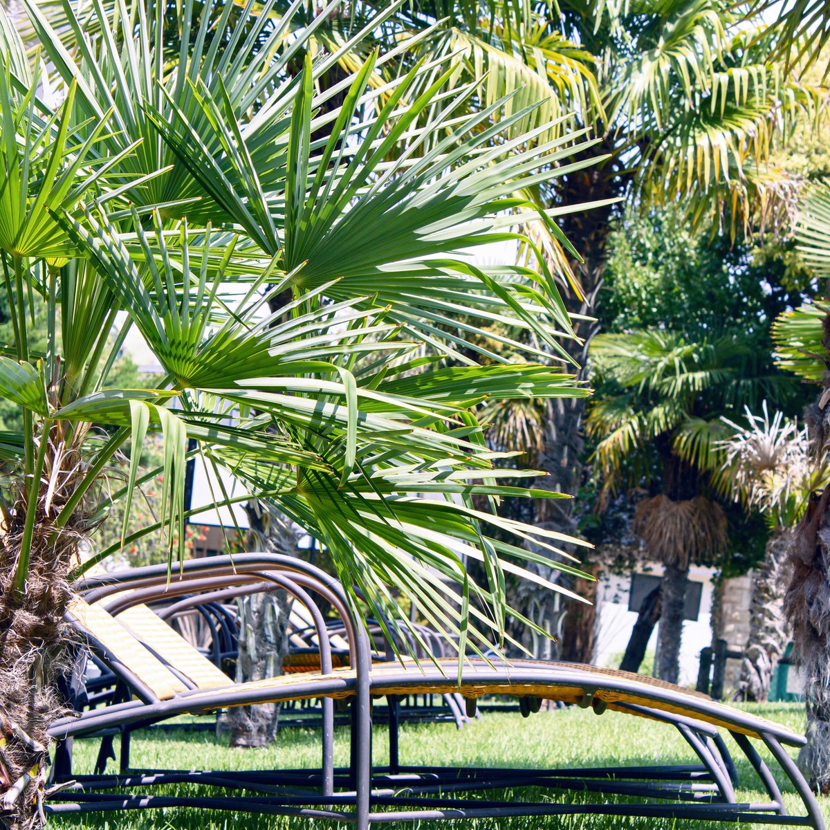 Avani Maseru tweet media