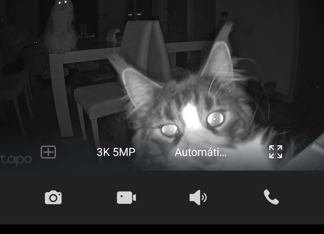 Soy una cosa 🥑 tweet media