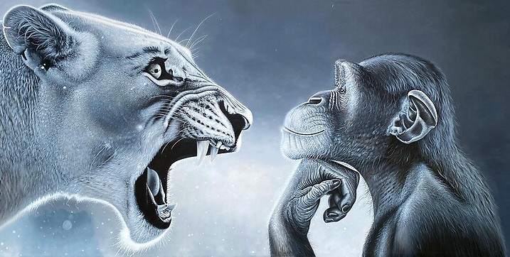 Alejandro tweet media