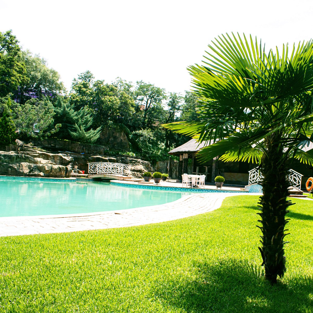 Avani Maseru tweet media