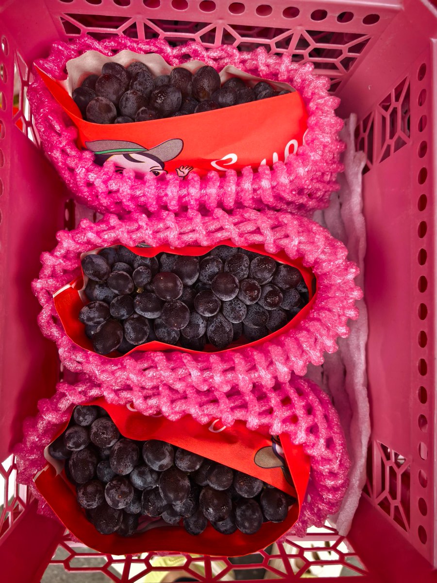 ほししお tweet media