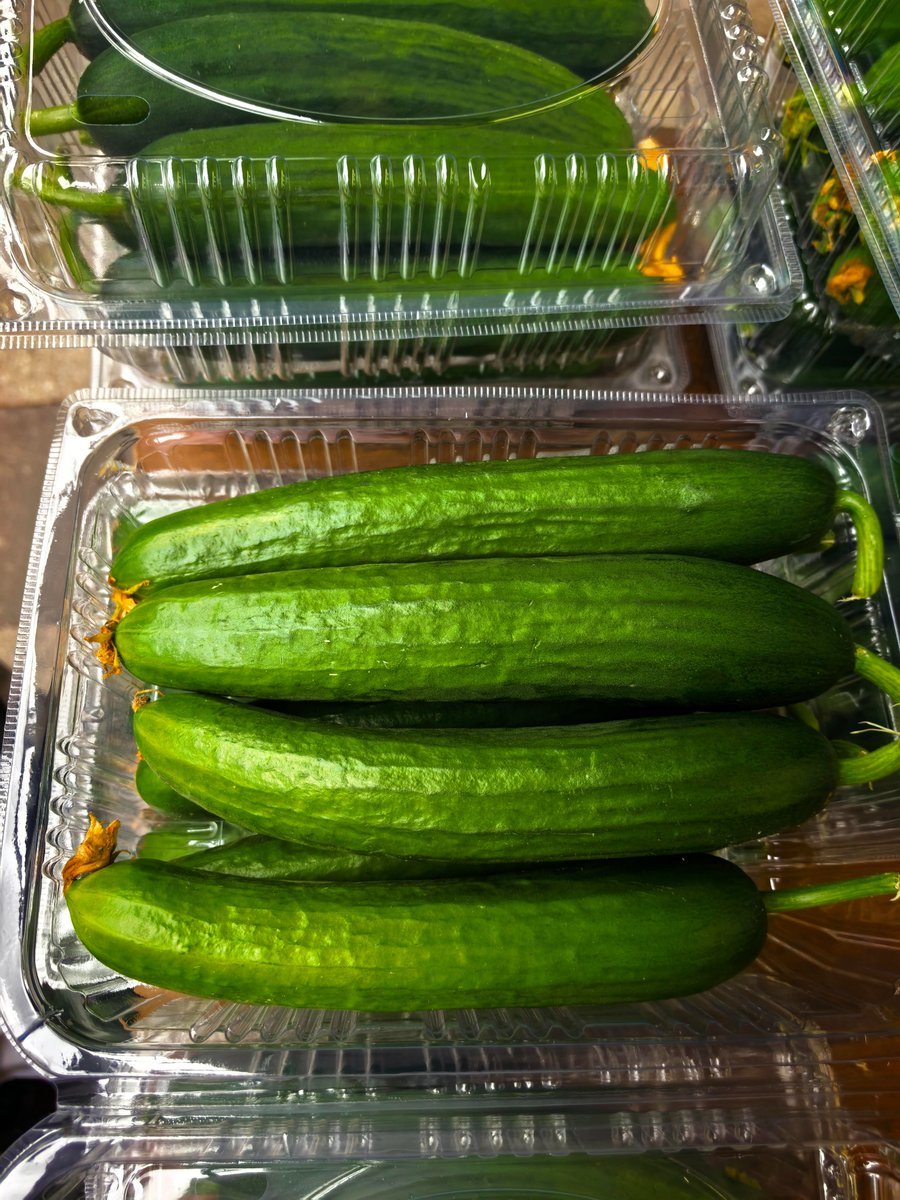 ほししお tweet media