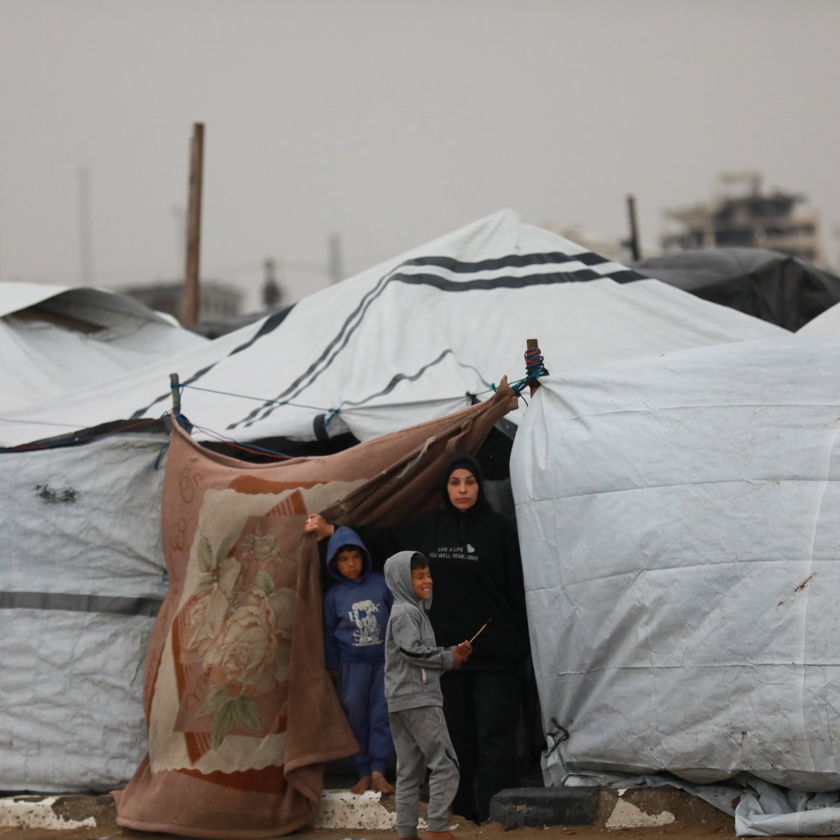 Mahmoud Qaddoha tweet media