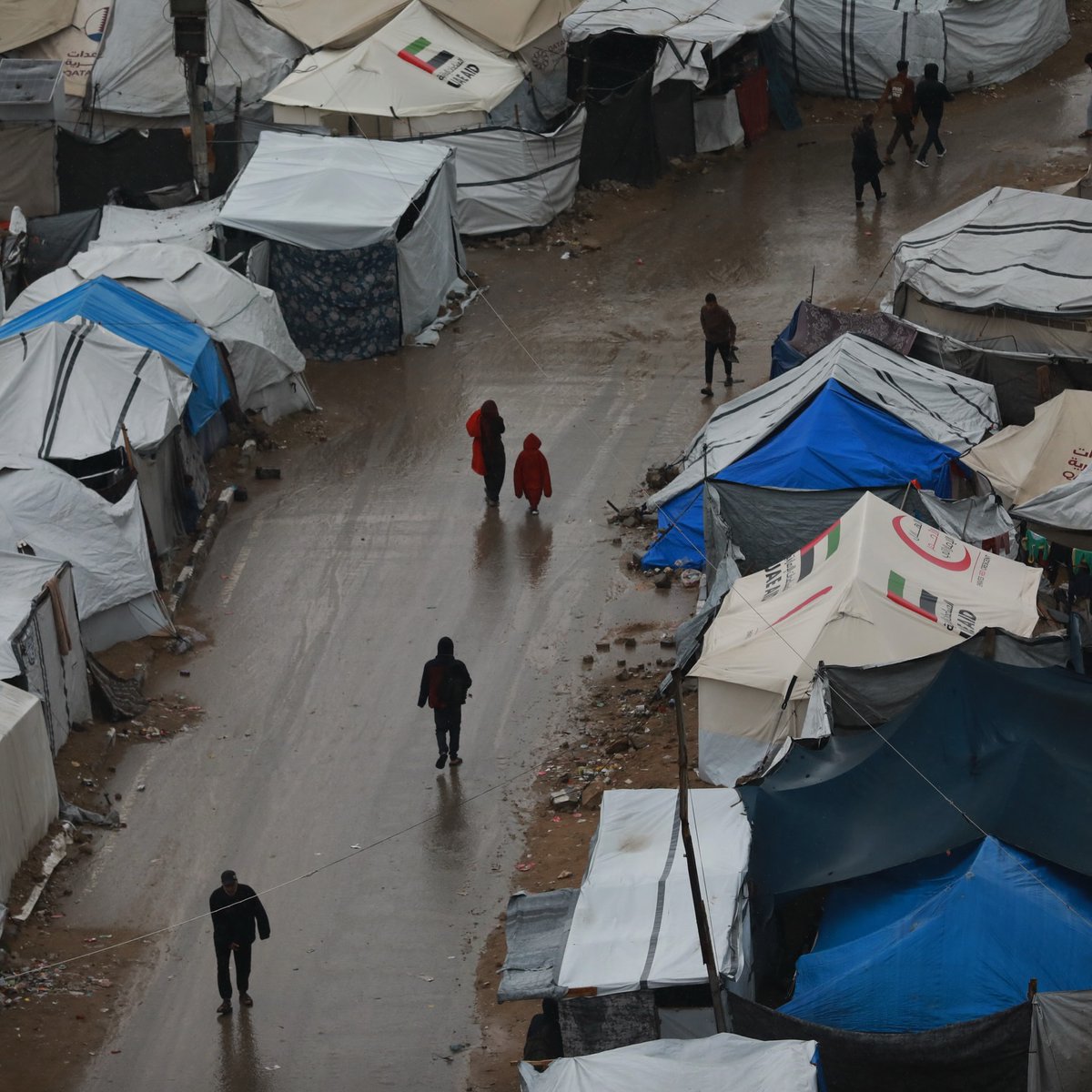 Mahmoud Qaddoha tweet media