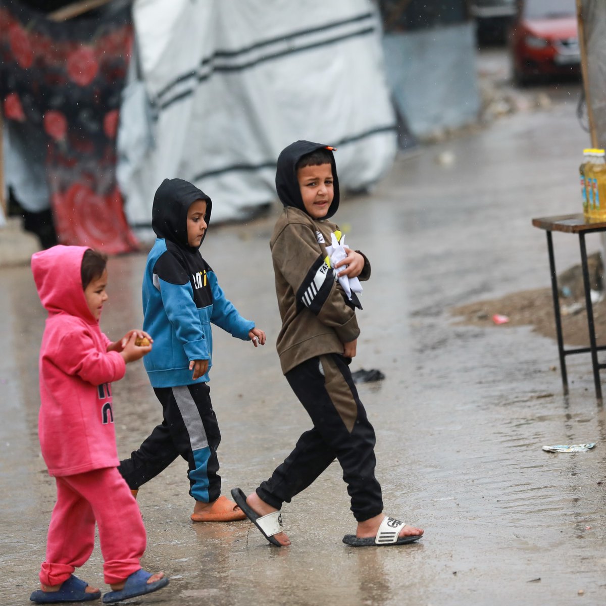 Mahmoud Qaddoha tweet media