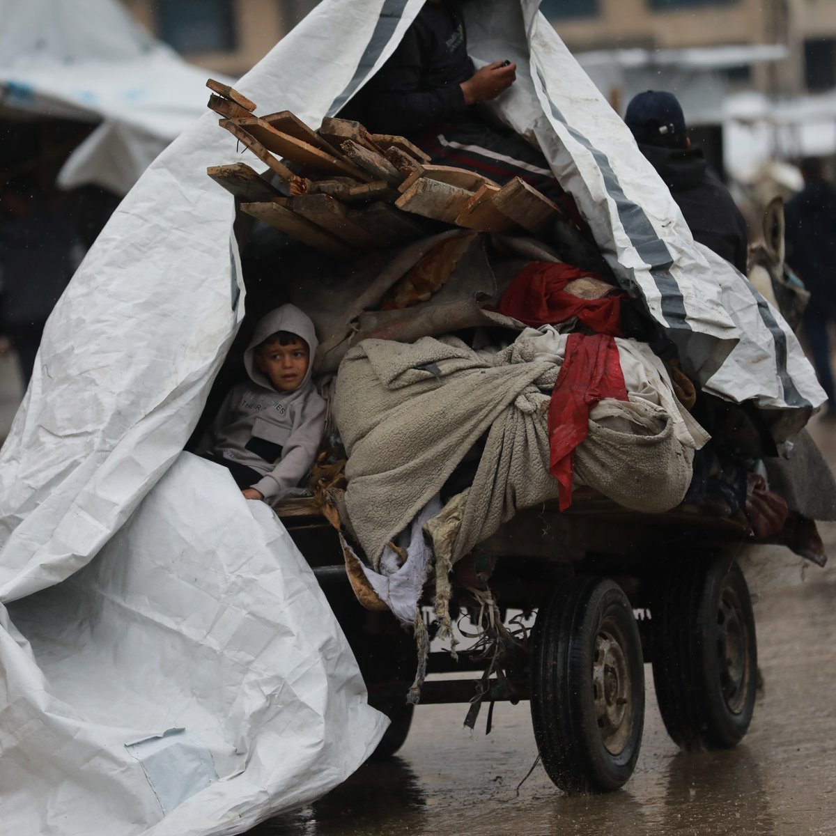 Mahmoud Qaddoha tweet media