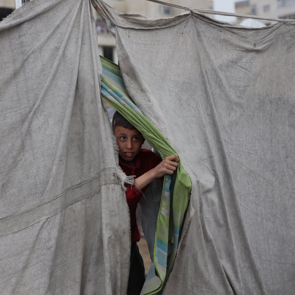 Mahmoud Qaddoha tweet media