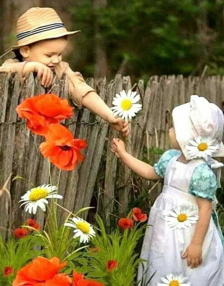 İsmail Dilek tweet media