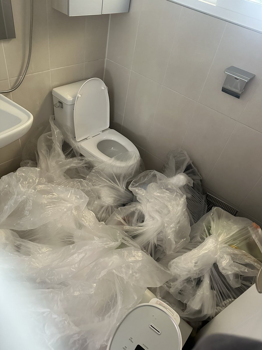 식물햄🍥 tweet media