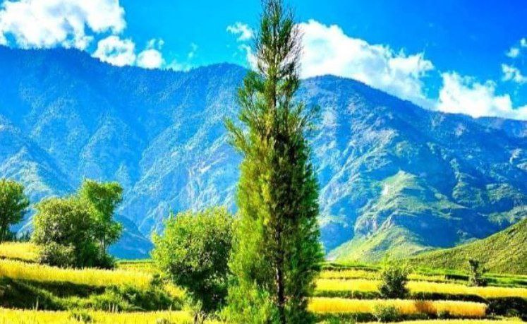 sharifullahamin's tweet photo. د ننګرهار ښکلی طبيعت 
#Nangarhar #Afghanistan

@Kabul24News_ https://t.co/WvnvSuHQqh