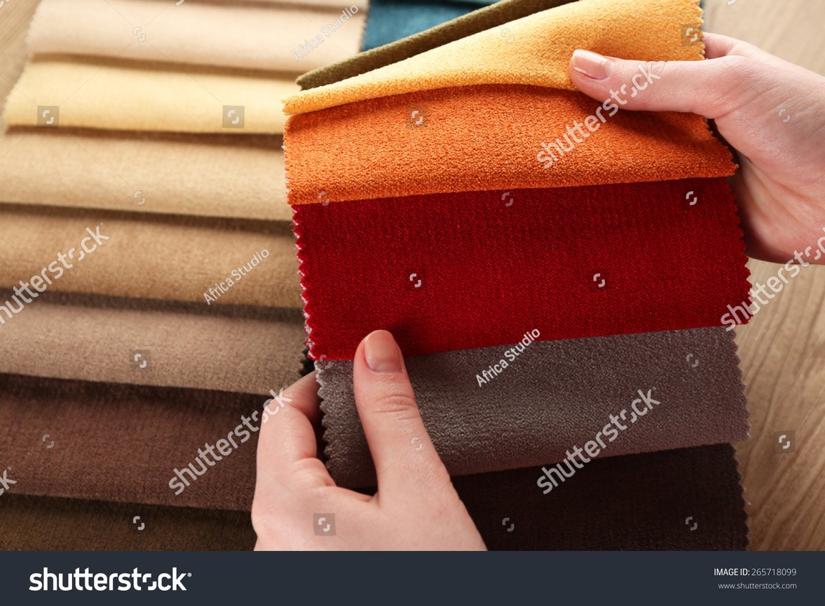 Anne Plamondon tweet media