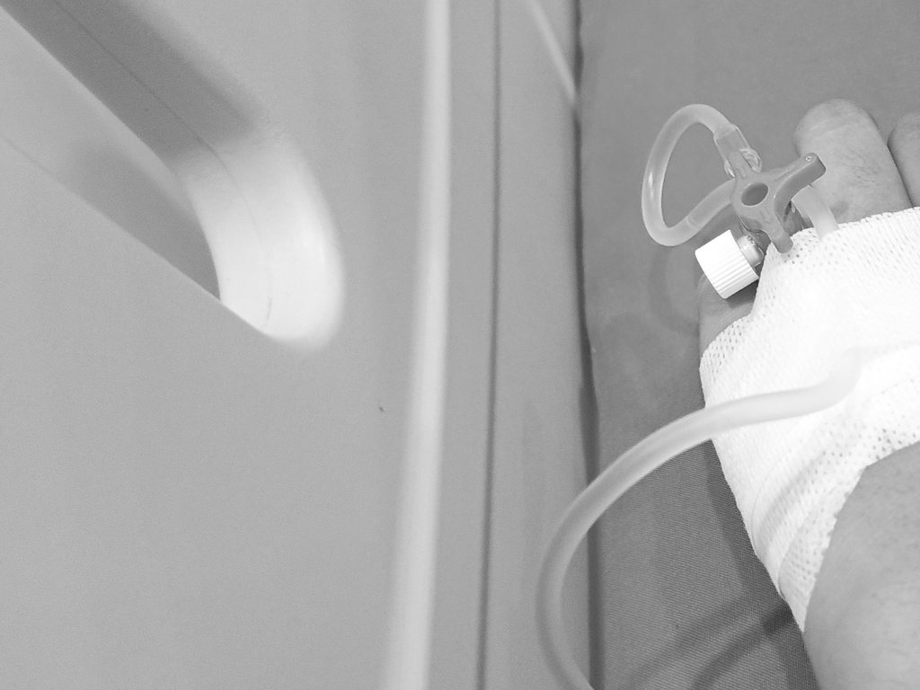 ignacia. tweet media