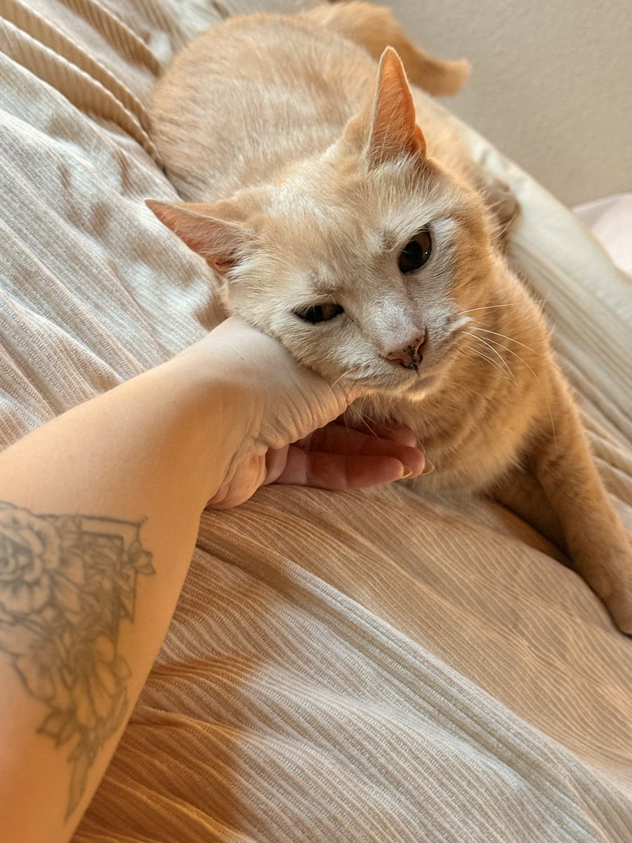 MissMandeee 💋 tweet media