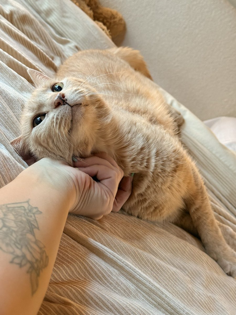 MissMandeee 💋 tweet media