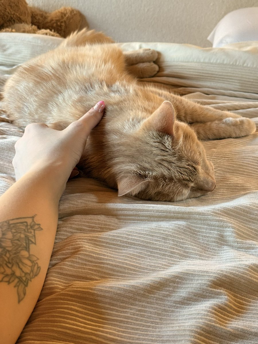 MissMandeee 💋 tweet media