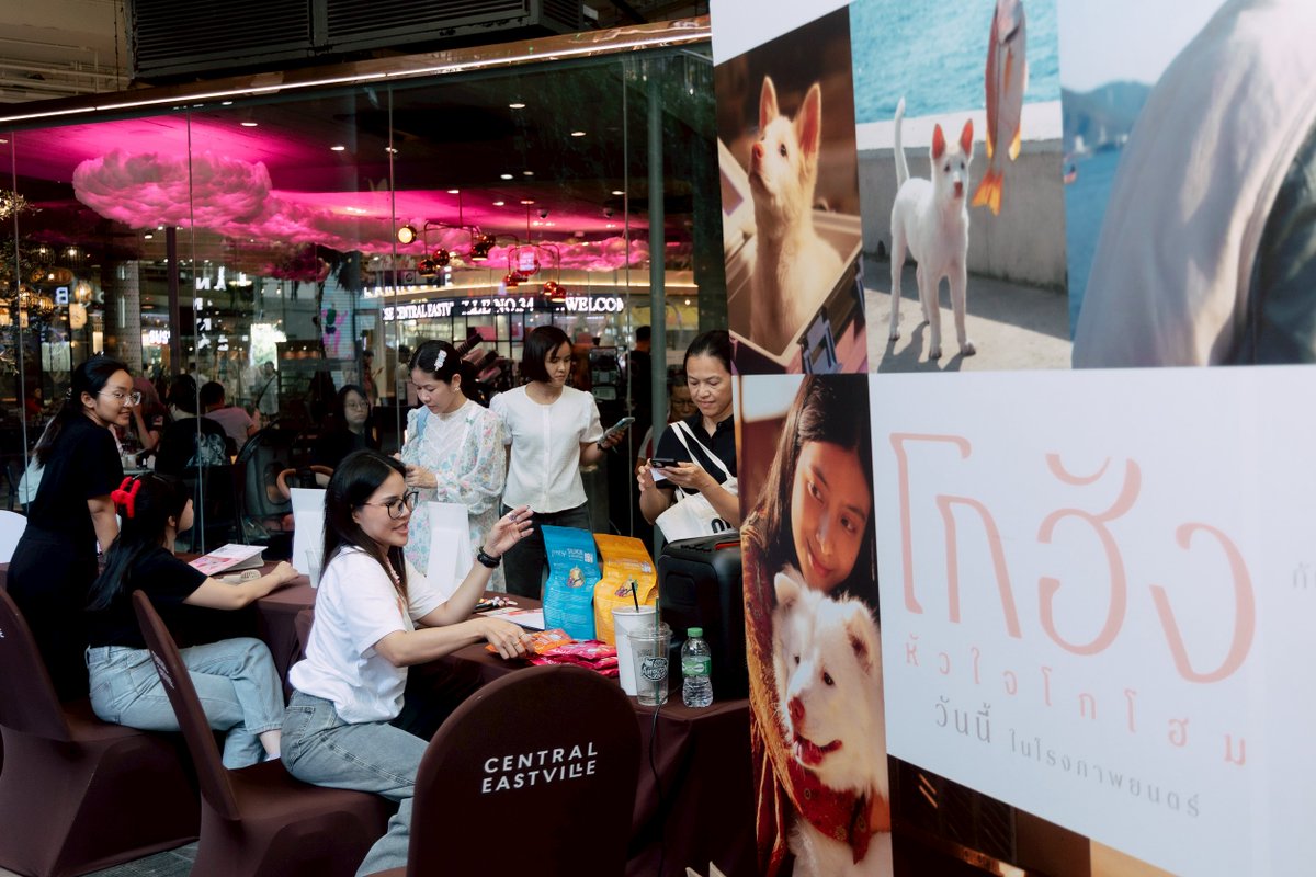 ChitChat Variety tweet media