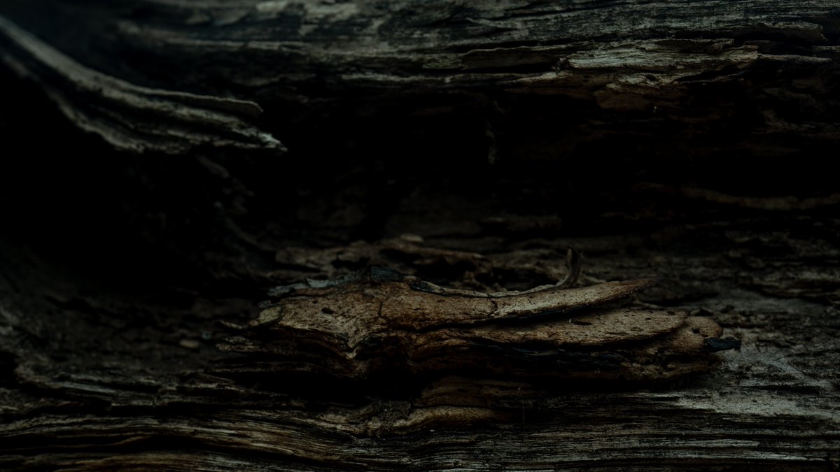 texture