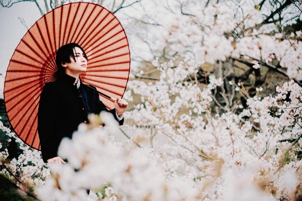 MagicHourCafe's tweet photo. 🌸桜の撮影シーズン到来中🌸
和歌山城では平日でもコスプレ用の更衣室を運営中です‼️（月火は定休日）

桜のシーズンだけでなく、和歌山城は年中コスプレ撮影でご利用いただけます🏯✨

6月は紫陽花、夏は新緑、撮影ロケをお楽しみください！

【更衣室のご予約】
https://t.co/tEUkaakO7B https://t.co/HgEUDpUFYp
