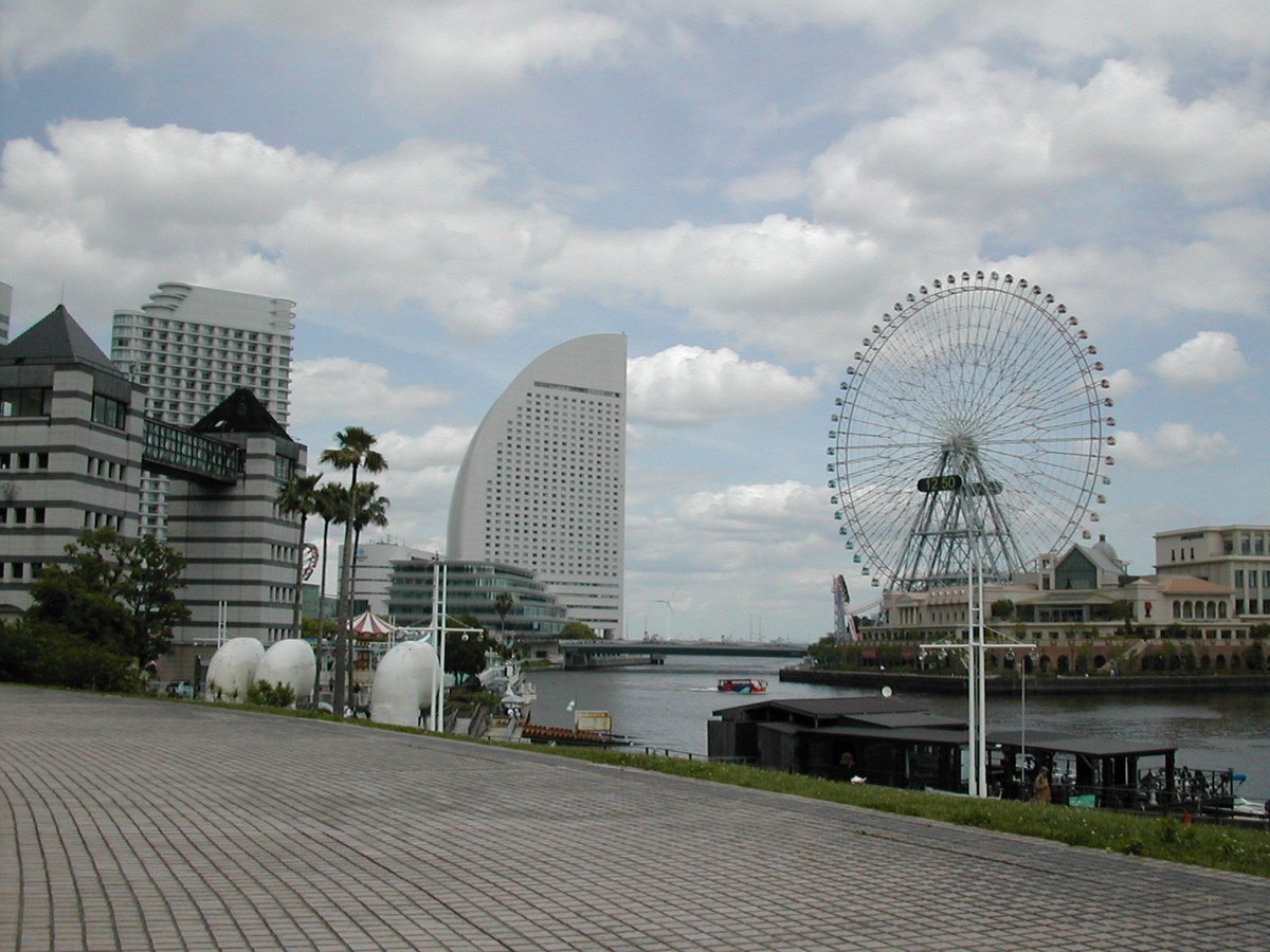 みなみの tweet media