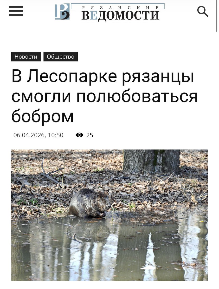 фестиваль вареников tweet media