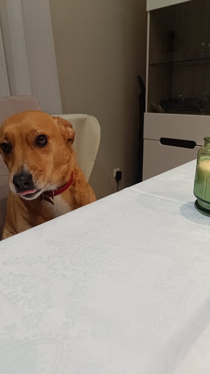 tomek_cfc tweet media