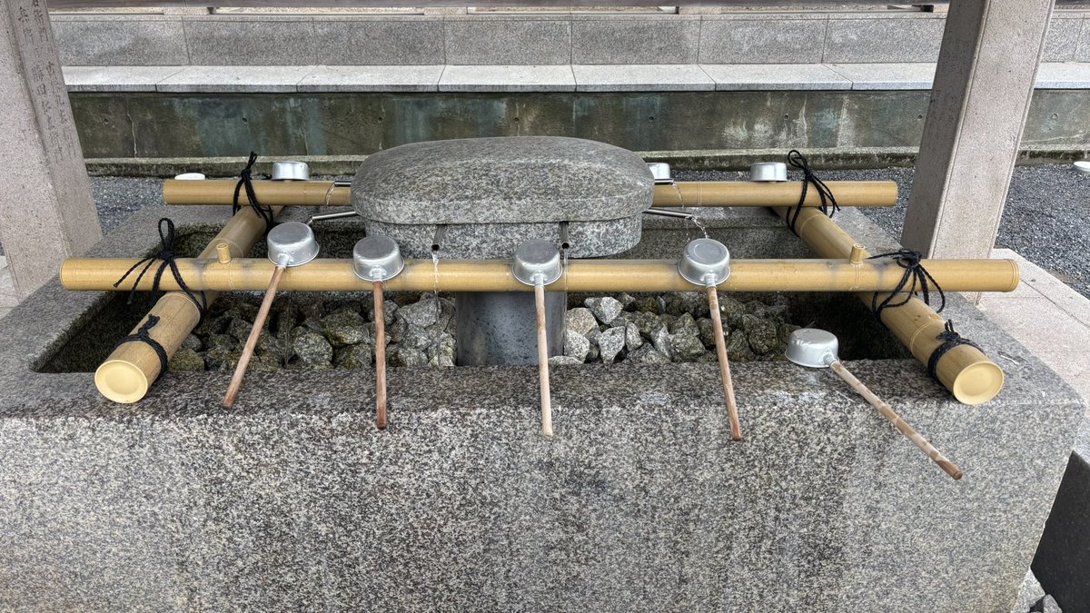 workout68kg→62kg tweet media