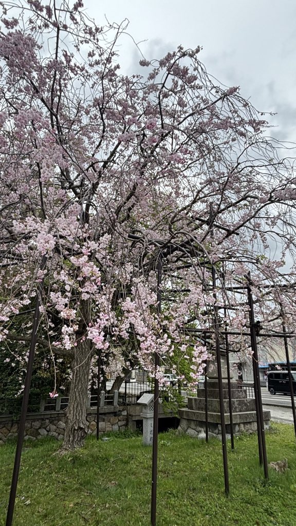 workout68kg→62kg tweet media