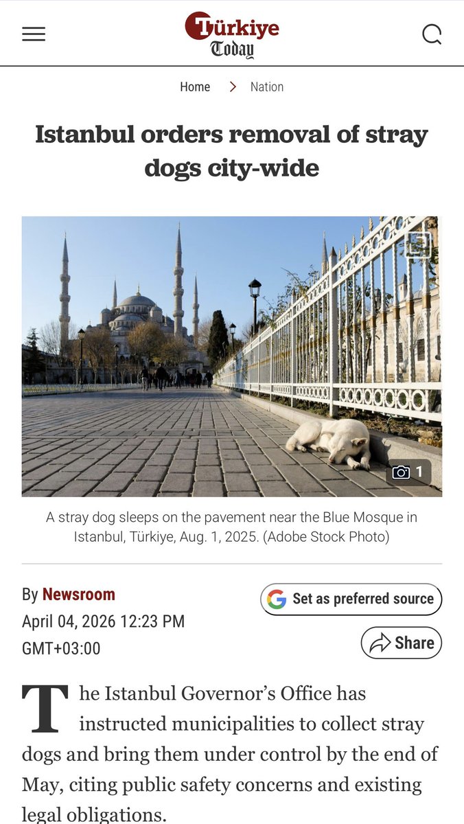 dominic dyer tweet media