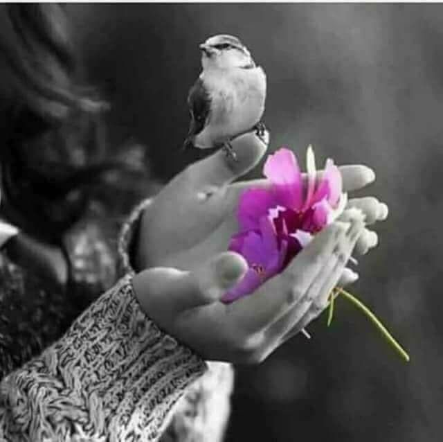 Τaτi🅰️na Pes to tweet media