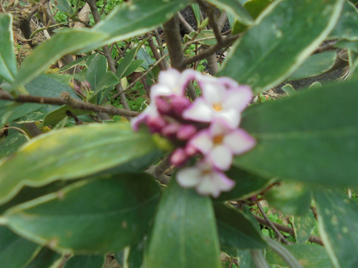 이근제 tweet media