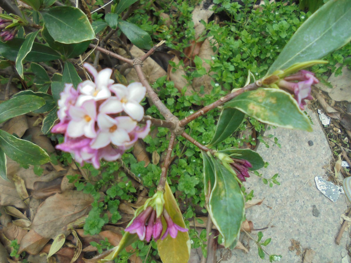 이근제 tweet media