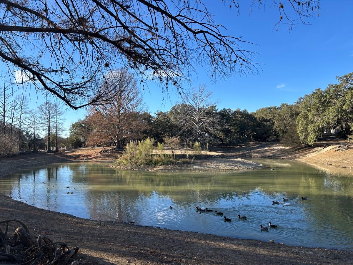 CryptoJuncky©️كريبتو جانكي (✈️,🏨) tweet media