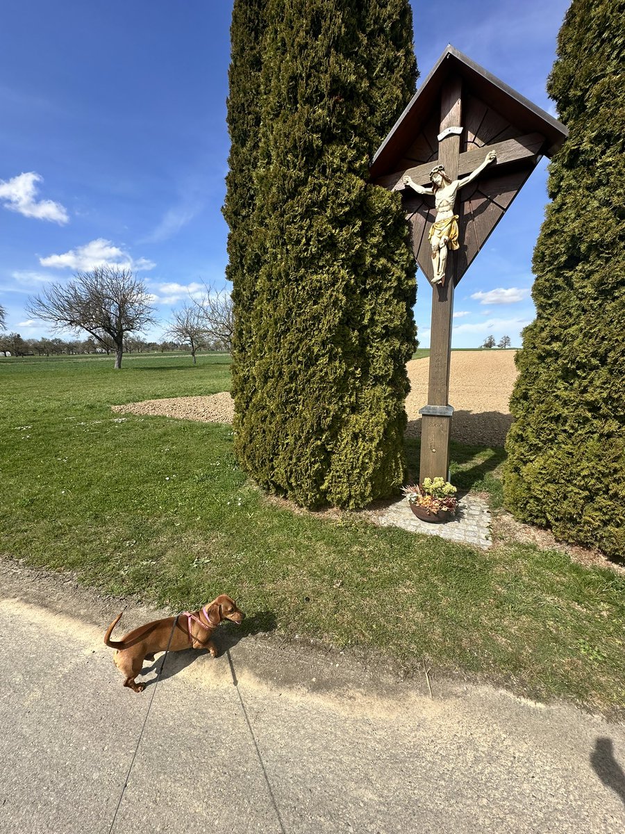 Emil Antonov tweet media