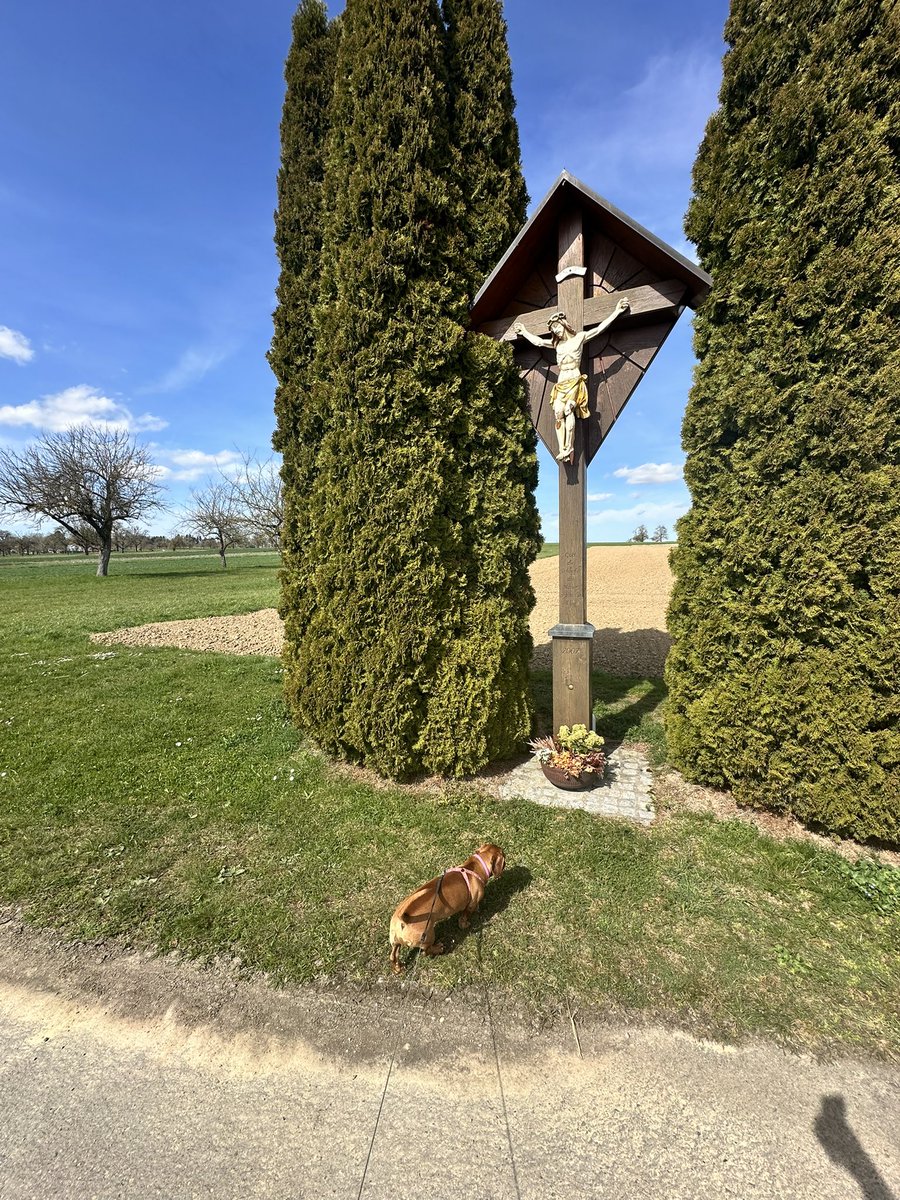 Emil Antonov tweet media