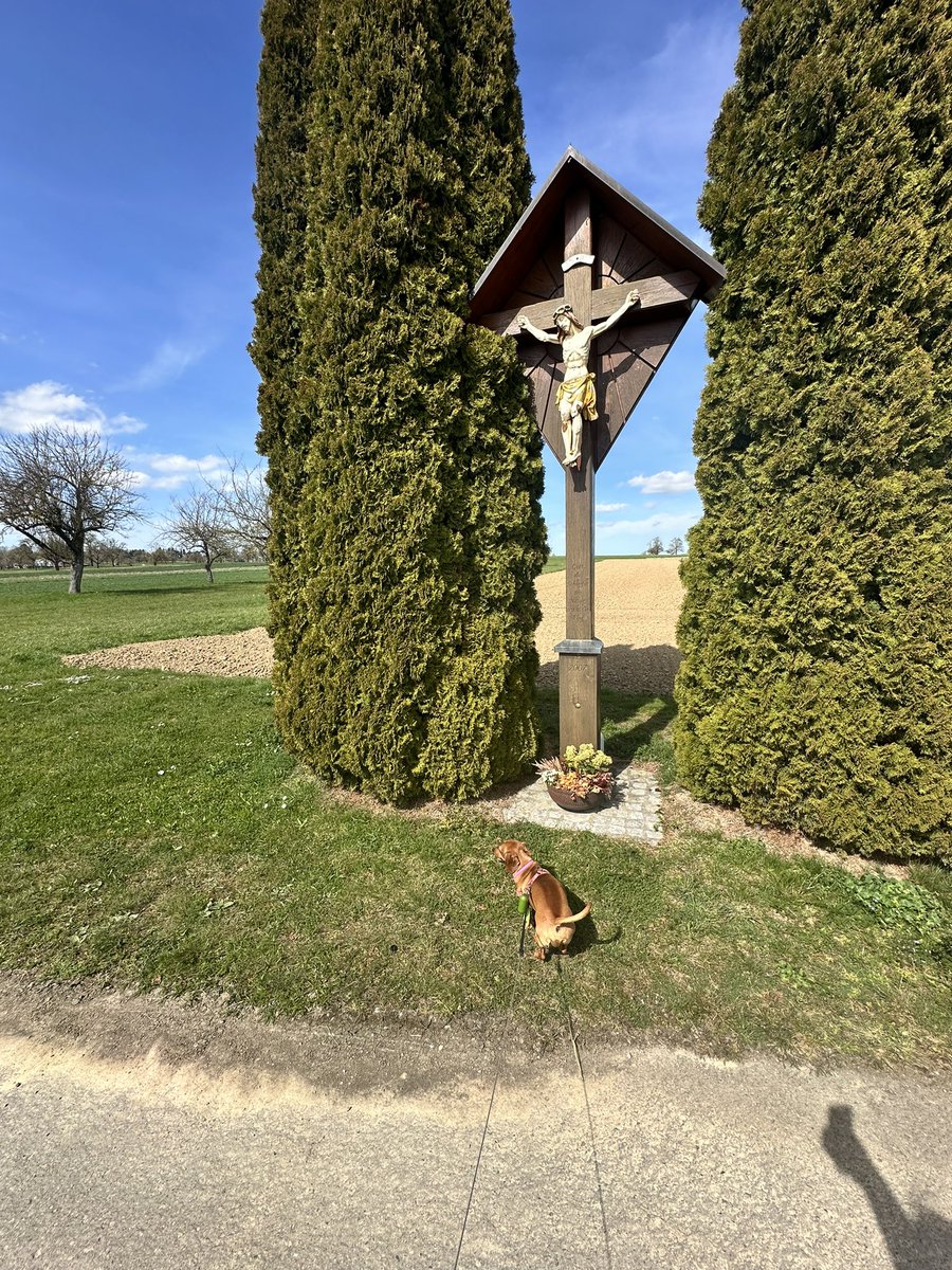 Emil Antonov tweet media