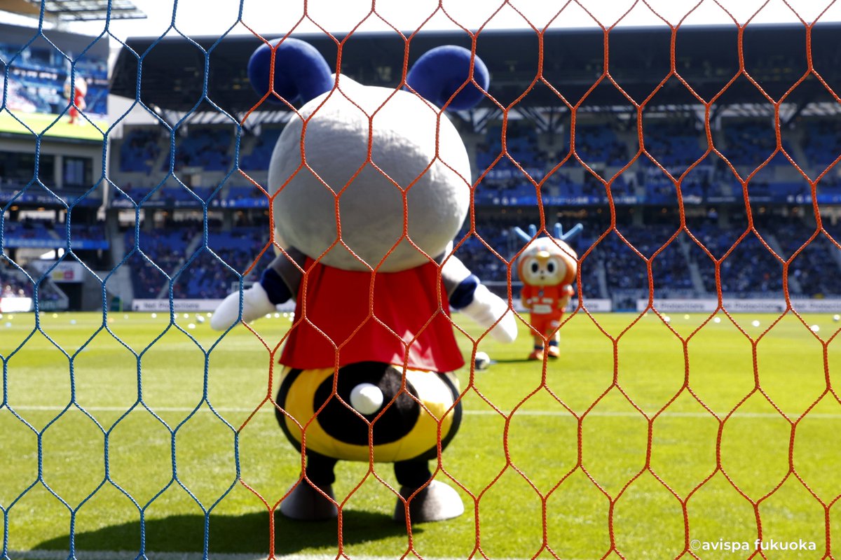 アビーくん@アビスパ福岡 tweet media
