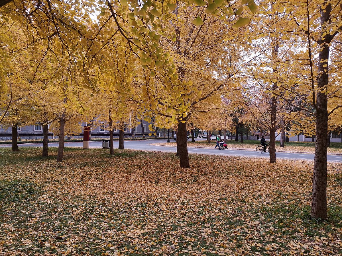 linda livadas tweet media