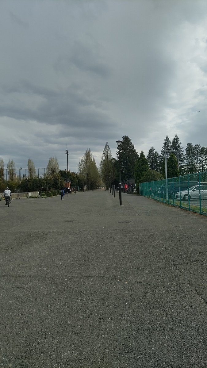 さとちゃん tweet media